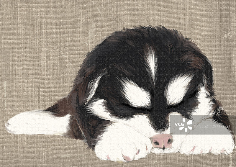 阿拉斯加图片素材