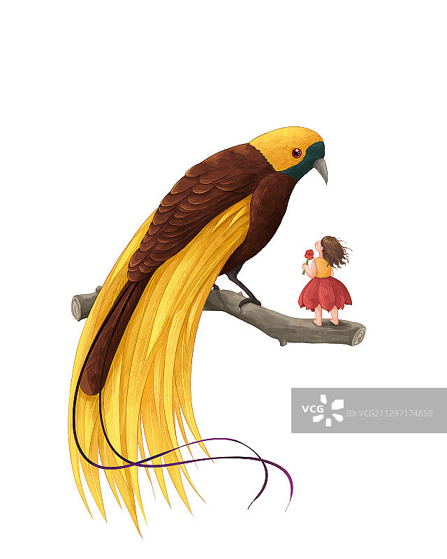 女孩与极乐鸟系列唯美插画二图片素材