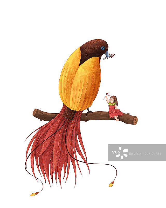 女孩与极乐鸟系列唯美插画五图片素材