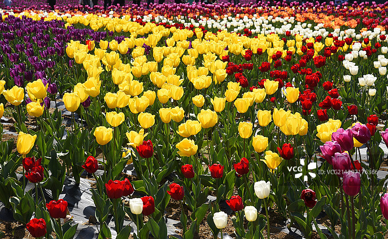 “西游胜地”河南驻马店市遂平县嵖岈山图片素材
