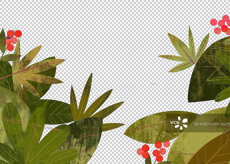 树叶背景图片素材