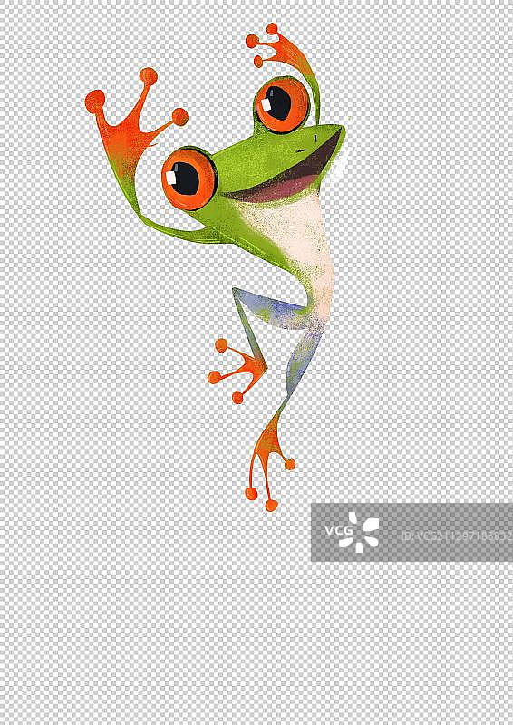 树蛙跳高图片素材