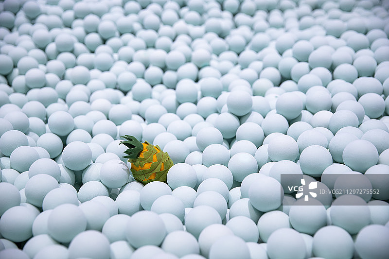 蓝色波波池中的一颗菠萝图片素材