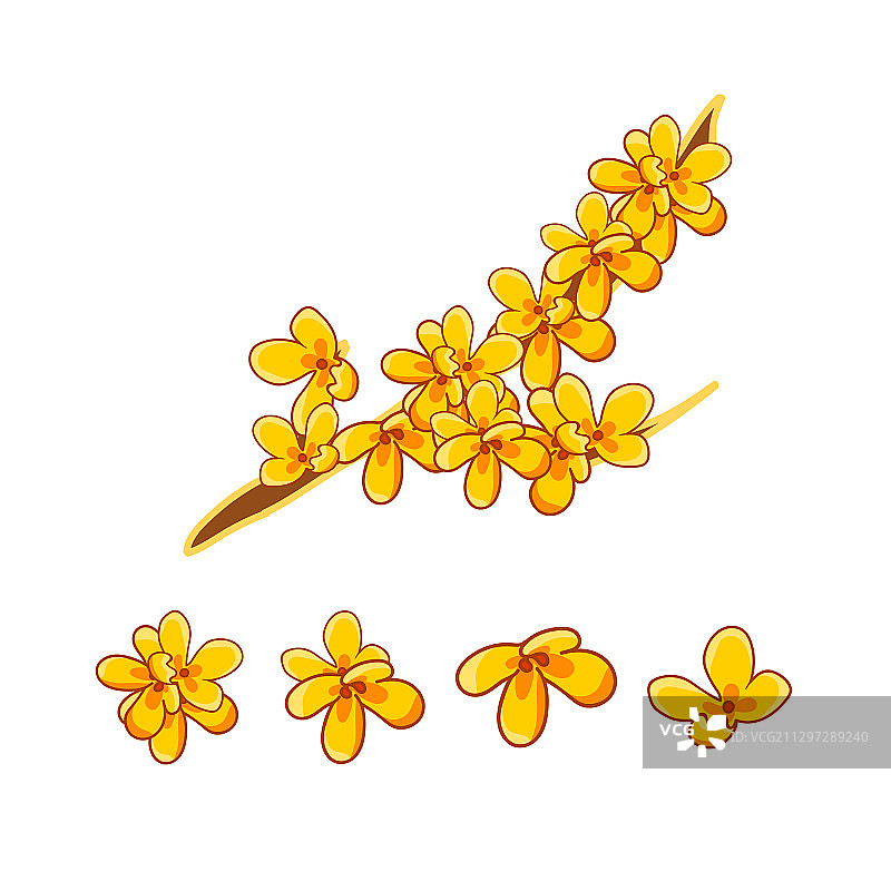 白色背景桂花矢量插画壁纸图标图片素材