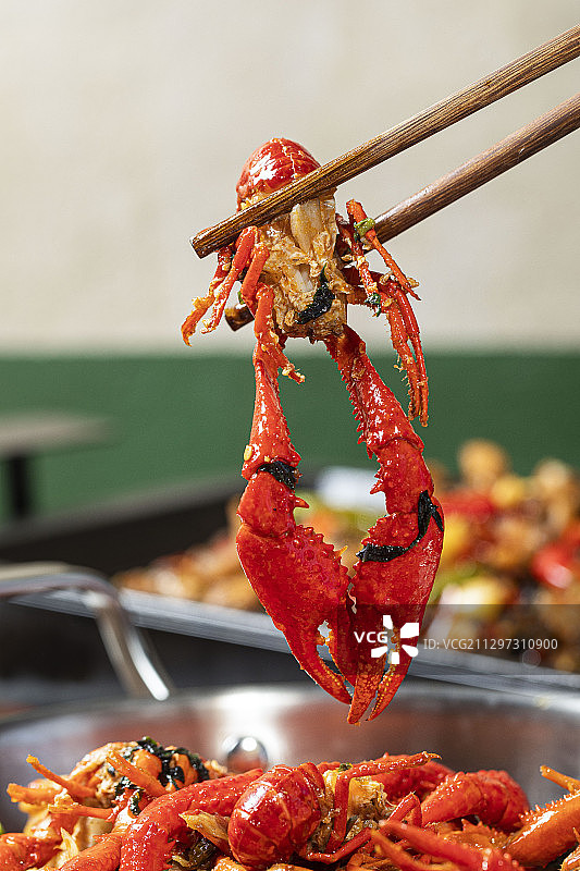 大龙虾图片素材