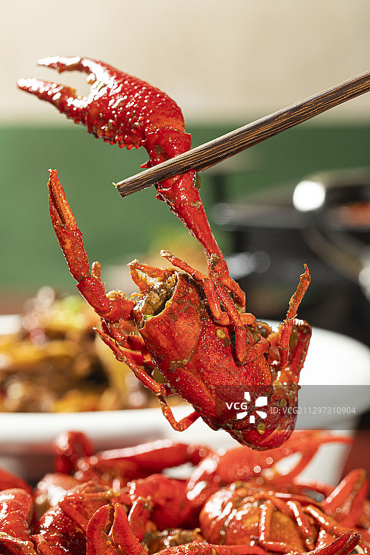 大龙虾图片素材