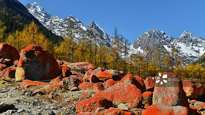 雪山彩林下的红石滩，四川理县毕棚沟风景区图片素材