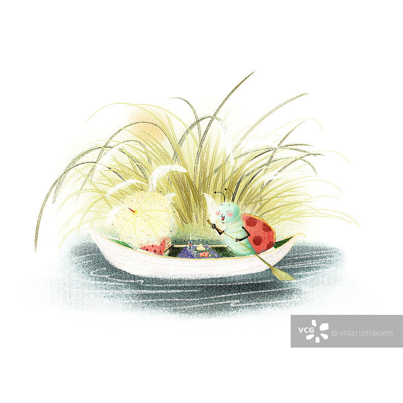 划船的瓢虫情侣图片素材