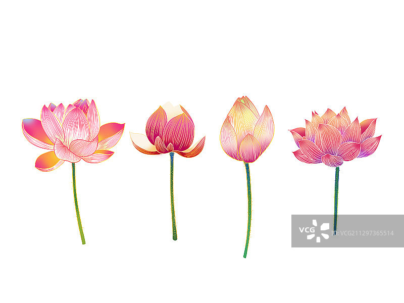 国风荷花莲蓬荷叶插画元素图片素材