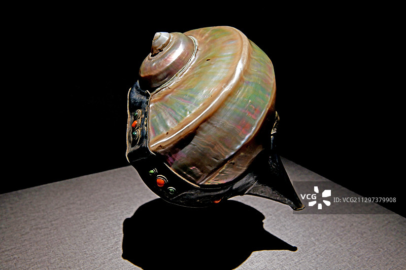 藏族螺号图片素材