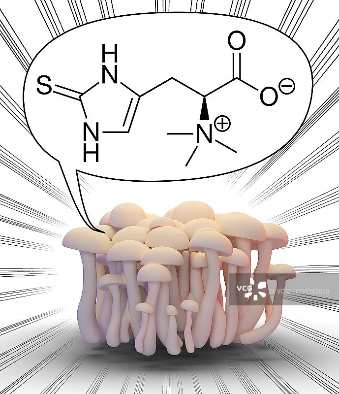 含麦角硫因分子的蘑菇插图图片素材