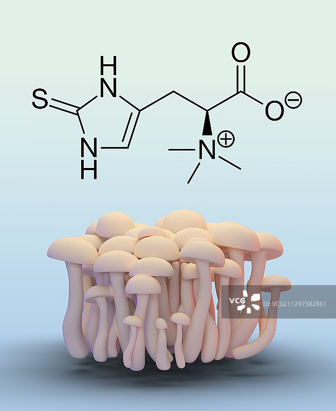 含麦角硫因分子的蘑菇插图图片素材