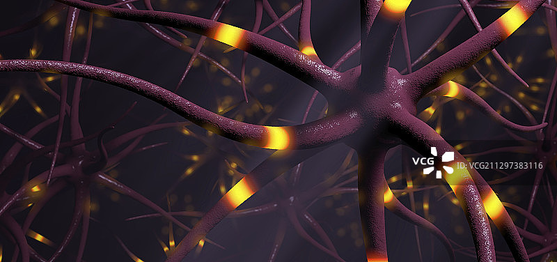神经细胞插图图片素材