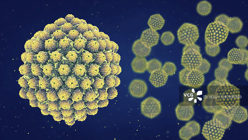 疱疹病毒，图示图片素材