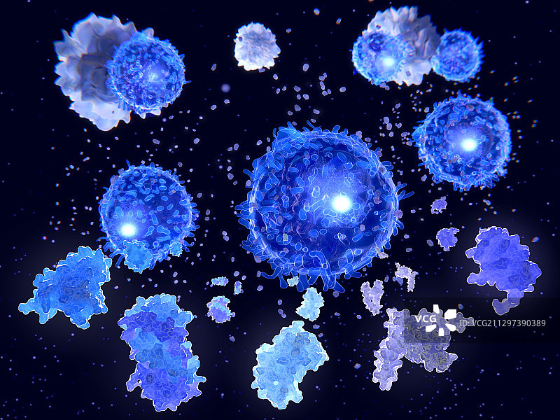 T辅助细胞和白细胞介素分子插图图片素材