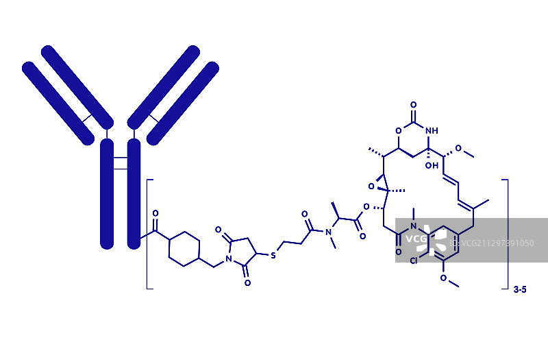 曲妥珠单抗-美登素偶联药物分子图片素材