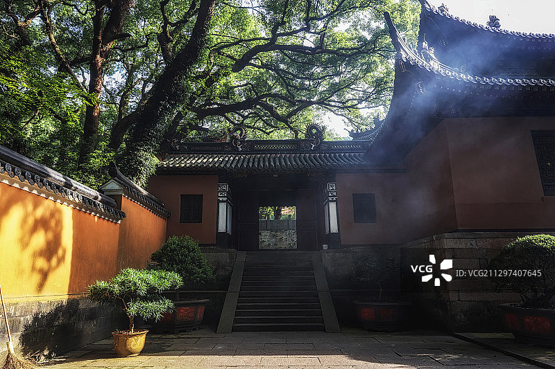 树木茂密的寺庙图片素材