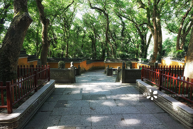 树木茂密的寺庙图片素材