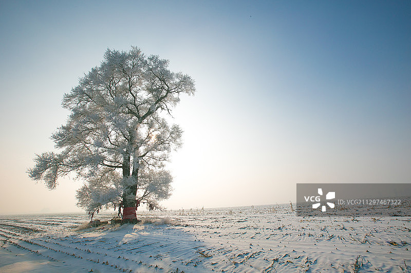 雾凇岛图片素材