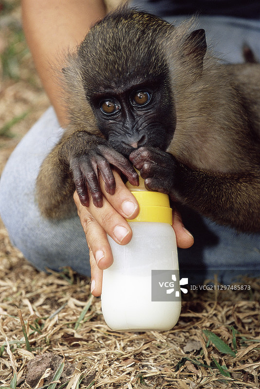 废弃的钻头图片素材