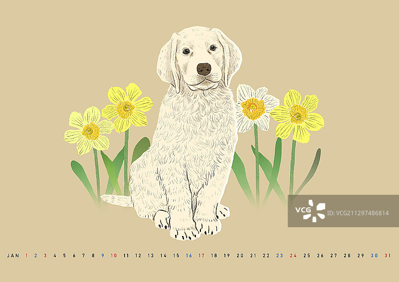 可爱动物月历插画001图片素材