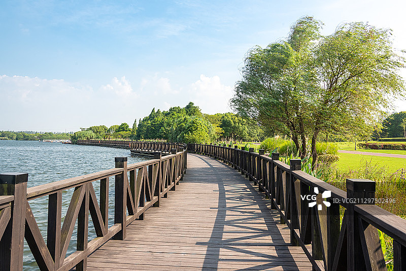 太仓金仓湖上，向前延伸的木栈道，蓝天白云和绿树图片素材