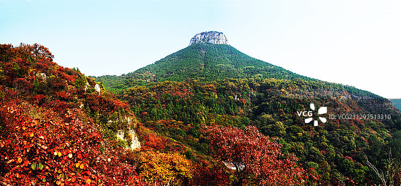 山东枣庄抱犊崮国家森林公园的红叶图片素材