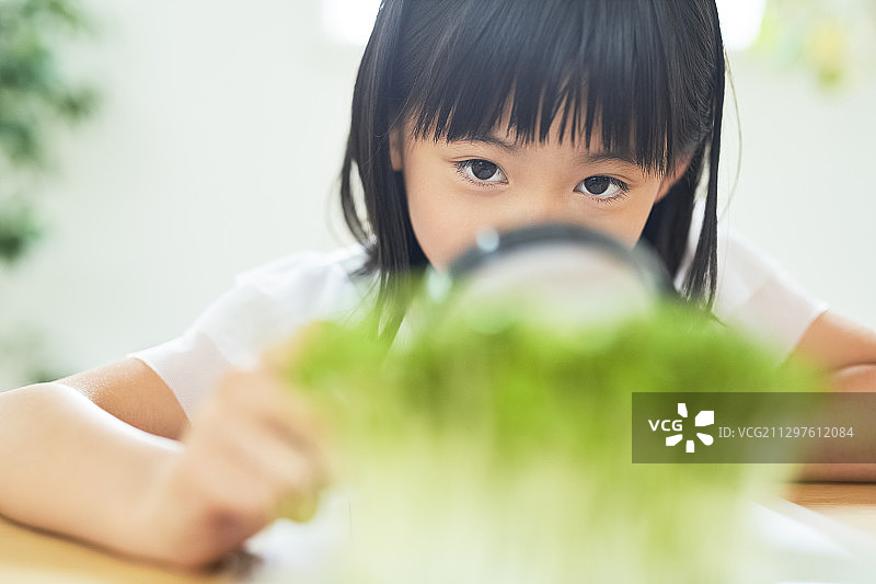 女孩学习图片素材