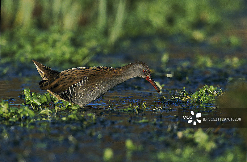 水 rail图片素材