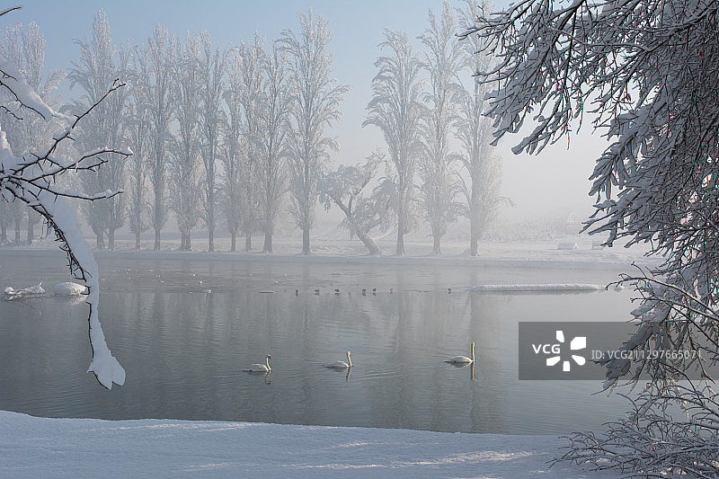 克罗地亚卡洛瓦茨冬季湖景图片素材