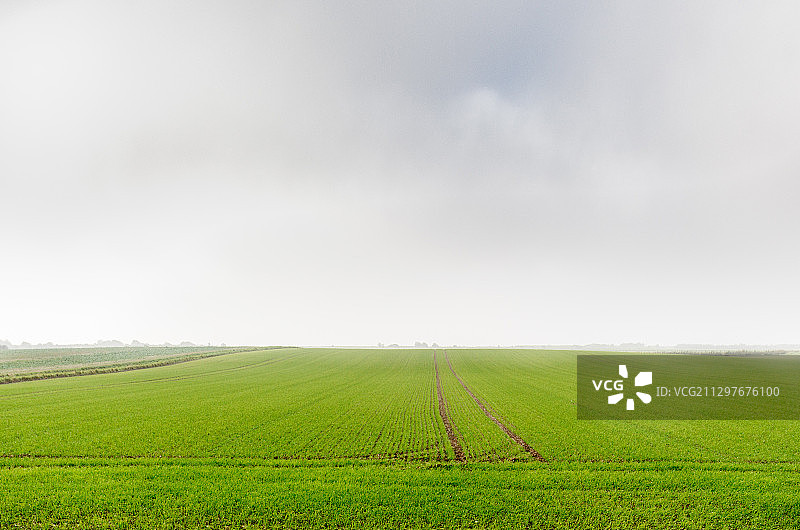 英国伊辛顿农业田野风光图片素材