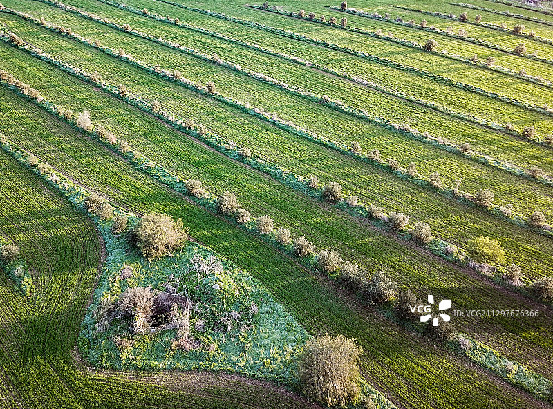 以色列格德拉的农业田地高角度景观图片素材
