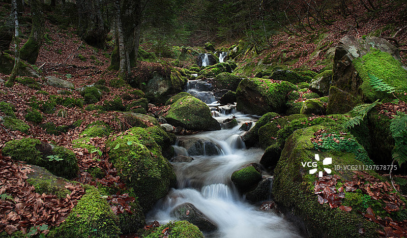 森林瀑布景观图片素材