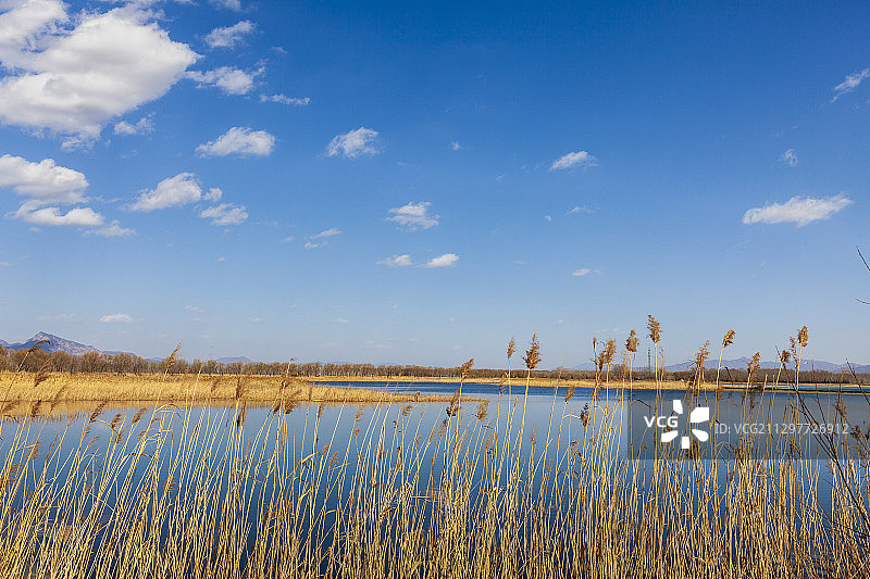 延庆野鸭湖图片素材