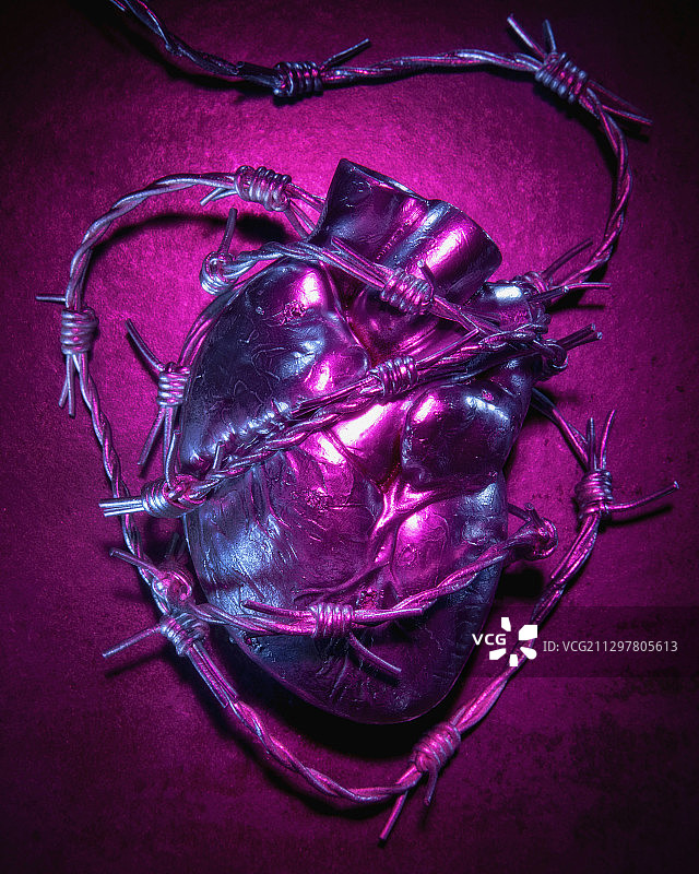 带刺铁丝网的解剖心脏图片素材