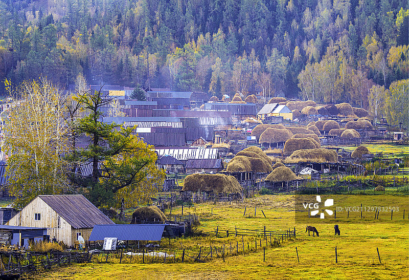 北疆 白哈巴 木屋图片素材