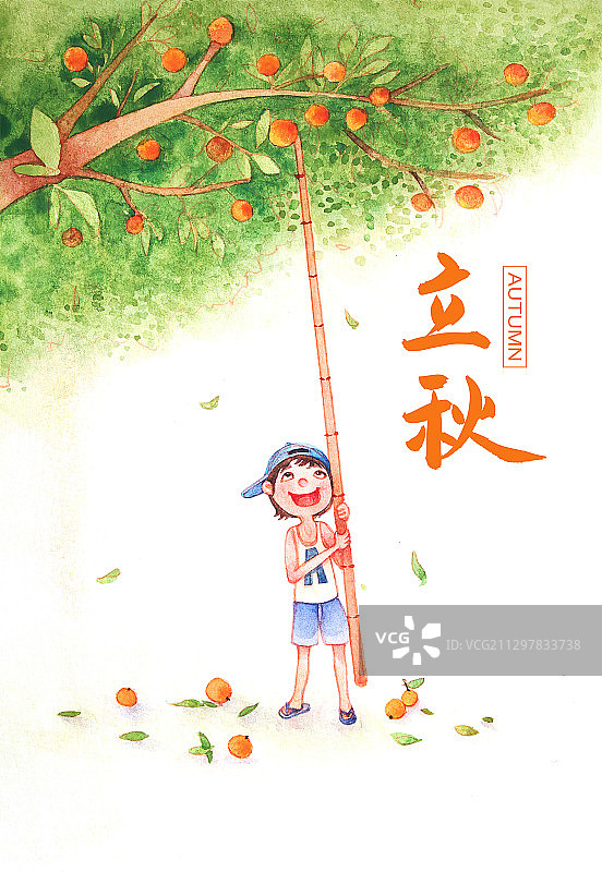 立秋银杏麦田桂花菊花水彩插画图片素材