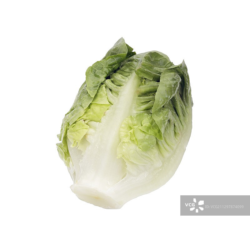 小宝石生菜图片素材