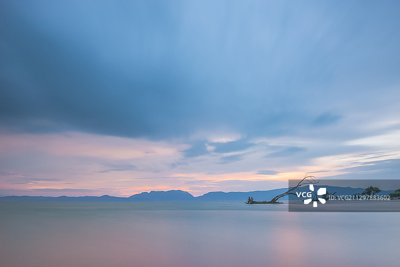 夏天的中国云南昆明滇池湿地风光图片素材