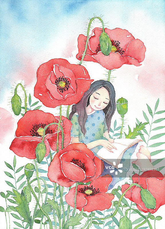 唯美手绘水彩插画系列-在虞美人花丛中看书的女孩图片素材