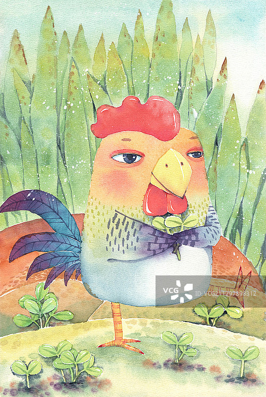 唯美手绘水彩插画系列-一只美丽的大公鸡图片素材