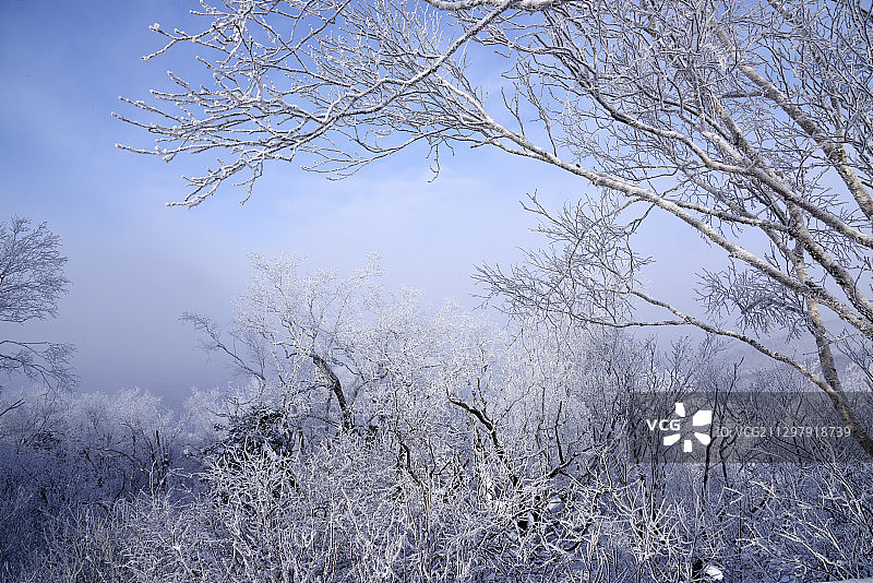 “中国雪乡”——黑龙江省牡丹江市海林市大海林林业局双峰林场图片素材