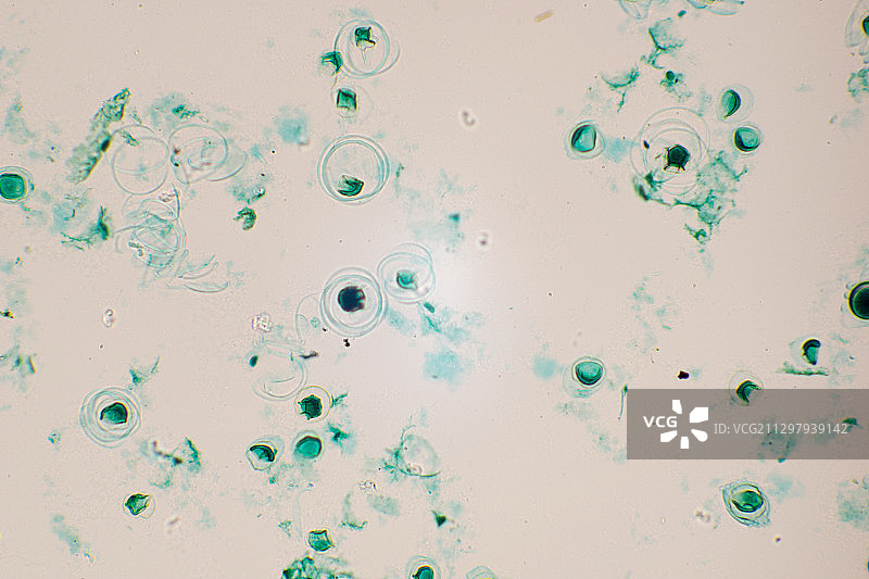 气泡特写镜头图片素材