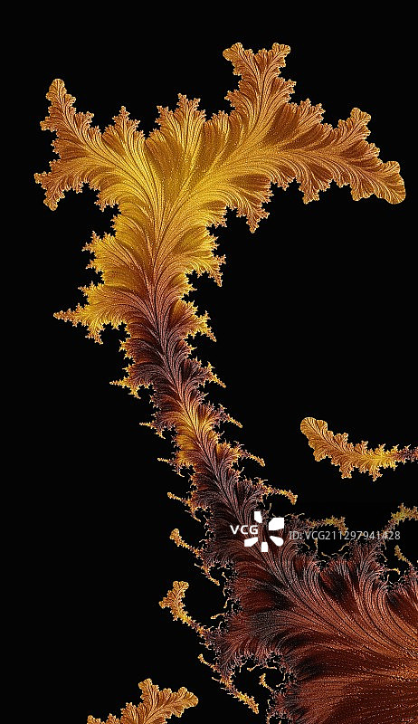 美国迈阿密花园黑色背景下的星星装饰特写图片素材