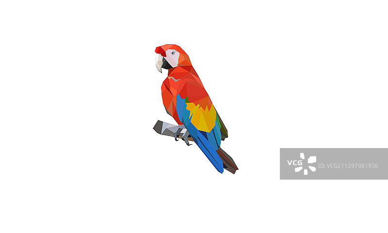 低多边形鹦鹉图片素材