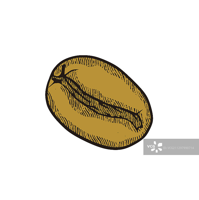 手绘咖啡豆标志图片素材