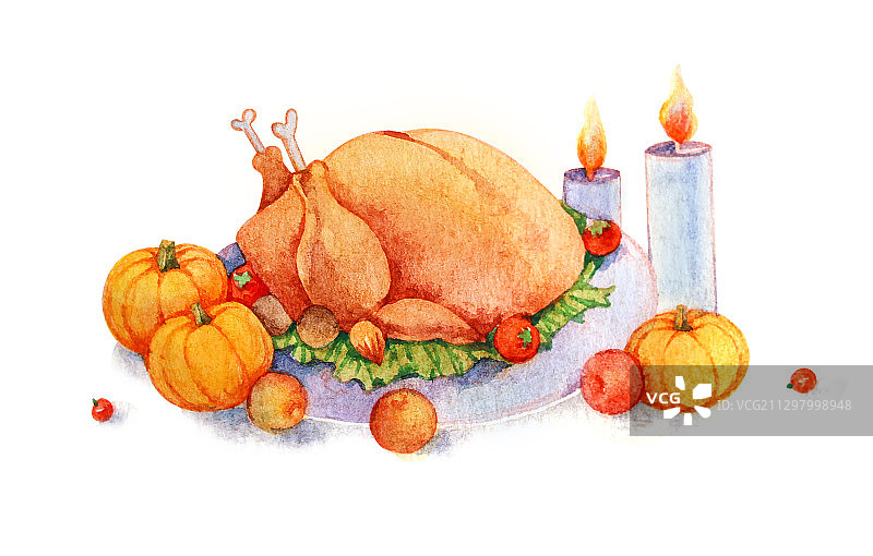感恩节火鸡南瓜鲜花手绘插画图片素材