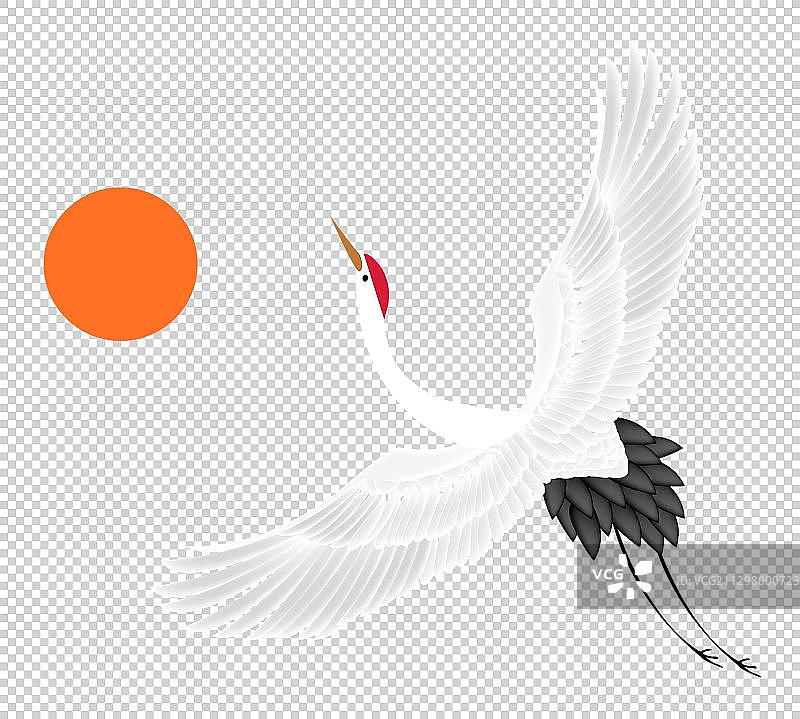 满月与白鹤图片素材