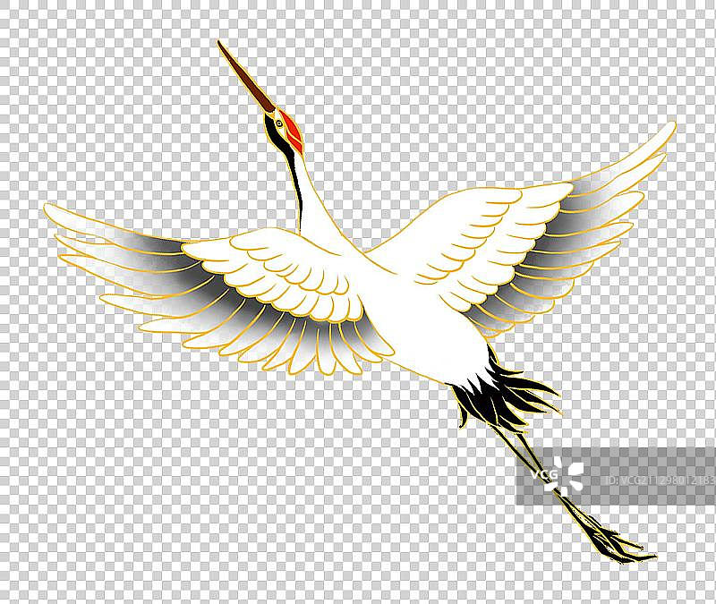 飞翔的白鹤图片素材