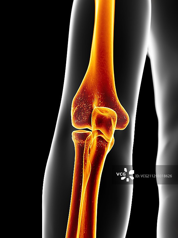 人体肘部，艺术作品图片素材